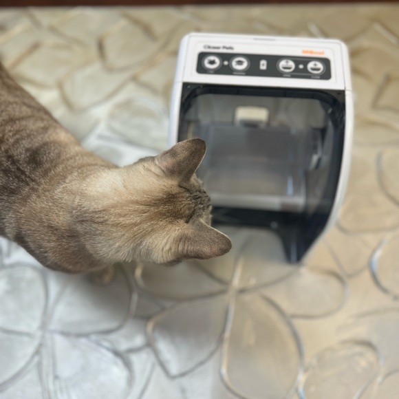 Closer Pets MiBowl Automatic Microchip Pet Feeder (CP500) for cats - Picture 4 of 6